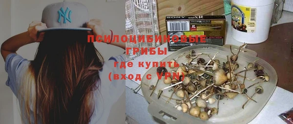 ешки Володарск
